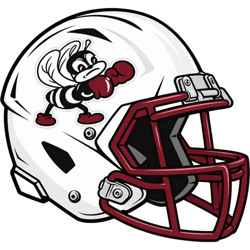 Bayonne Bees helmet