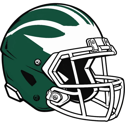 Brick Twp. Green Dragons helmet