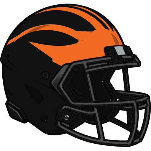 Linden Tigers helmet