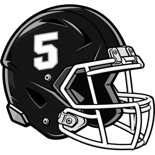 New Brunswick Zebras helmet