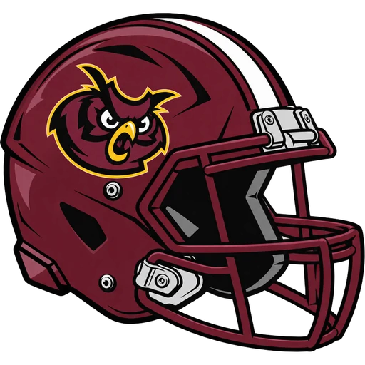Park Ridge Owls helmet