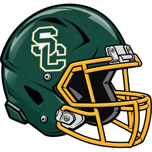 Schalick Cougars helmet