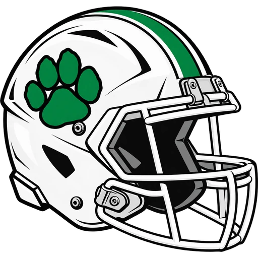 South Plainfield Tigers helmet