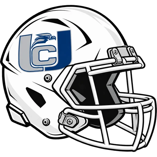 Union City Soaring Eagles helmet