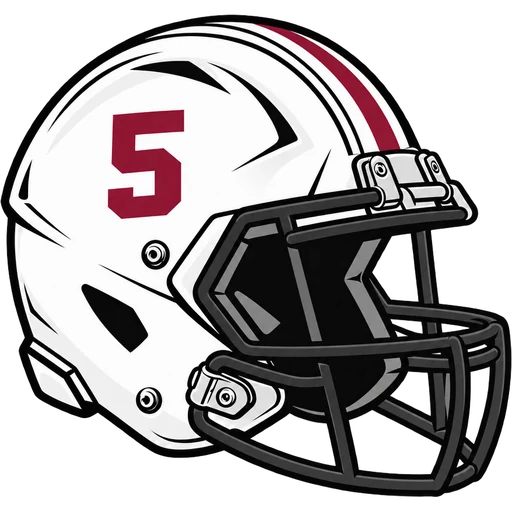 Verona Hillbillies helmet